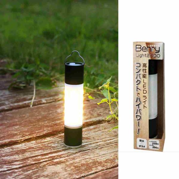 TMC　 ベンリーライト 2500　 37724-099-326　LED充電式ライト　