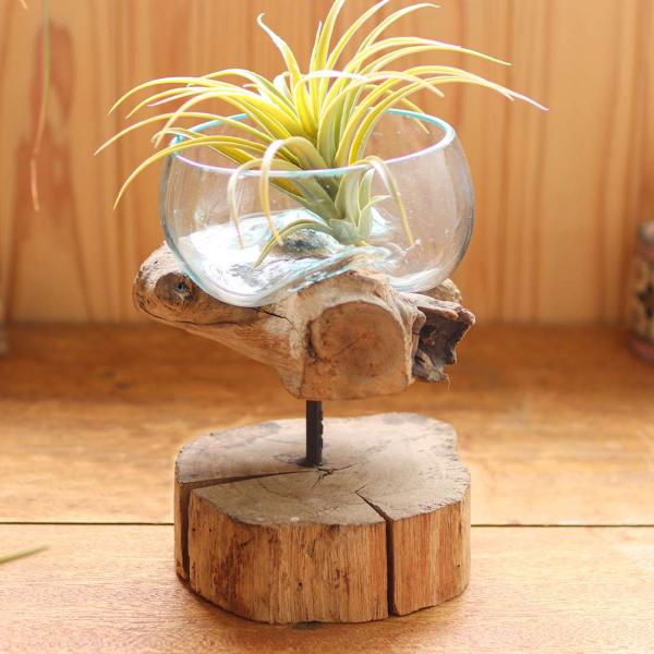 TMC　 古木手吹ガラス スタンド付ワイドボウル　  10225-099-328　458945004...