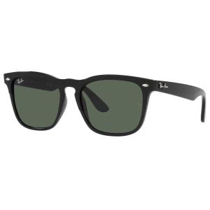 Ray-Ban（レイバン） RB4391D 645087 65 TRANSPARENT GREY サングラス