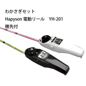 わかさぎセット  極技ワカサギ替え穂先 25cm  HAPYSON 電動リールYH-201 電動セッ...