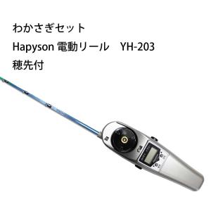 わかさぎセット　極技ワカサギ替え穂先　25cm　HAPYSON 電動リールYH-203　電動セット｜westcoast