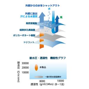 阪神素地ハンシンキジ SW511 エントラント...の詳細画像5