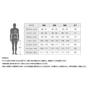 阪神素地ハンシンキジ BW81 セーフティーウ...の詳細画像5