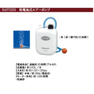 エサクーラー角 ES-2 2.8L+エアポンプ...の詳細画像5