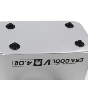 エサクーラー角 ES-4 4L+エアポンプ付き...の詳細画像2