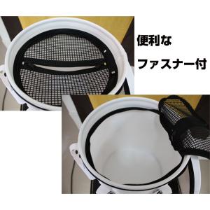 アジ活かしバッカン丸 33cmBA-077の詳細画像1