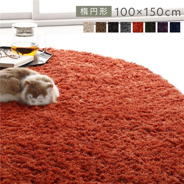 ラグ マット 絨毯 約R100×150cm 楕円形 オレンジ 洗える 滑り止め付 軽量 ホットカーペ...