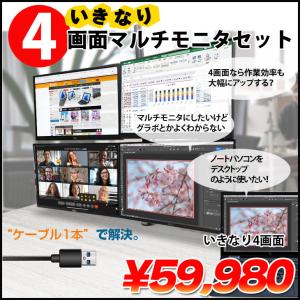 いきなり4画面マルチモニタセット USB1本で接...の商品画像