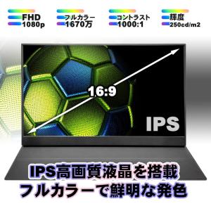 PASOUL モバイルモニター PA156FH...の詳細画像1