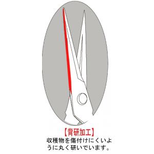 剪定芽切鋏 剪定ばさみ チカマサ 芽切鋏 T-...の詳細画像2