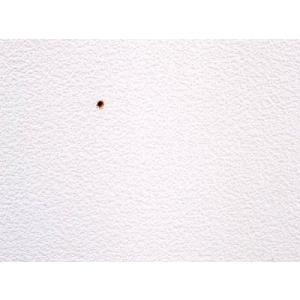 建築の友 クロスの穴うめ材スーパー ホワイト ...の詳細画像1
