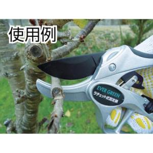 エバーグリーン ラチェット式剪定鋏DX DH-...の詳細画像2