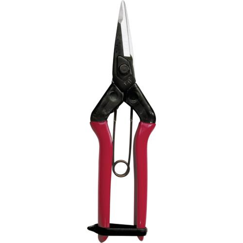 近正(CHIKAMASA) チカマサ 大型摘果鋏 195mm  T-601K 49676450114...