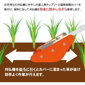 三陽金属 水田株間除草カッター 中干しの達人 ...の詳細画像5
