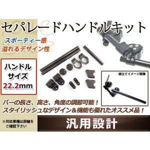 WirusWin（ウイルズウィン） スカイウェイブ カウル・エアロ
