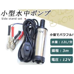 12V 小型 軽量 水中ポンプ 12L/min ケーブル3m スイッチ式 バッテリー クランプ ON/OFFスイッチ付き スレンレス製 DC12V 1.5A 英文説明書付