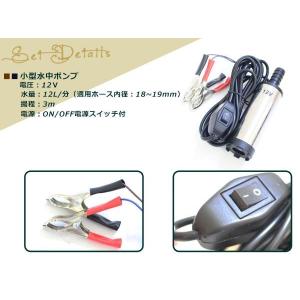 12V 小型 軽量 水中ポンプ 12L/min...の詳細画像1