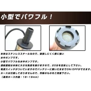 12V 小型 軽量 水中ポンプ 12L/min...の詳細画像2