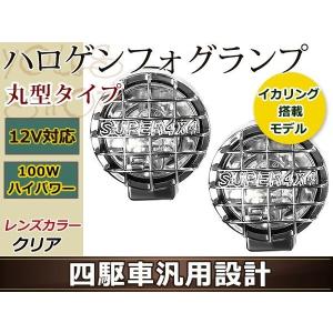 フォグランプ 丸型 汎用 200ミリ 100W 12V・24V H3 LED可 大型 メッキ