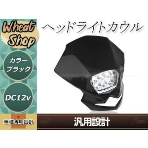 KLX250 Dトラッカー KDX250 KDX125 KSR110 ヘッドライト カウル マスク