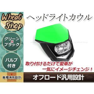 KLX250 Dトラッカー KDX250 KDX125 KSR110 ヘッドライト カウル