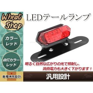 バイク 汎用 LED ミニテールランプ レッドレンズ 12V ブレーキ連動  ナンバー灯搭載 マウント一体型 取付ボルト・ナット付属 衝突防止