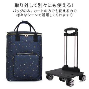ショッピングカート 4輪 5輪 おしゃれ 保冷...の詳細画像4