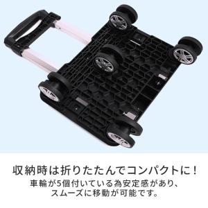 ショッピングカート 4輪 5輪 おしゃれ 保冷...の詳細画像5