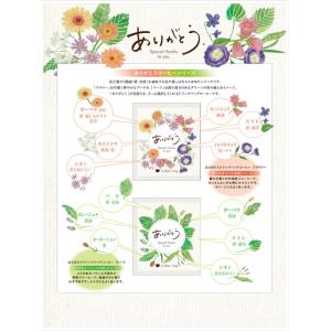 コーヒー乃川島 ドリップコーヒー 紅茶 ギフト...の詳細画像4