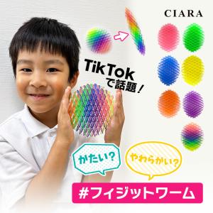 おもちゃ 男の子 女の子 子供 こども 2歳 3歳 4歳 サウンド [ ペンギン