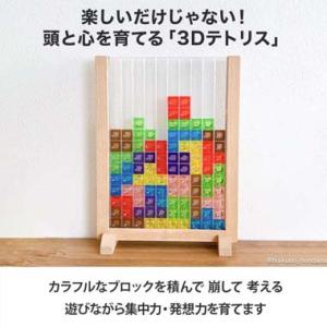 3Dテトリス おもちゃ 知育パズル 早期教育 ...の詳細画像4