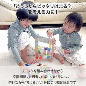 3Dテトリス おもちゃ 知育パズル 早期教育 ...の詳細画像5