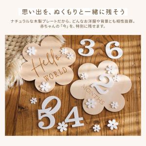 レターバナー 木製 マンスリープレート 名前 ...の詳細画像2