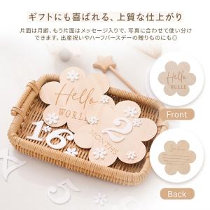 レターバナー 木製 マンスリープレート 名前 ...の詳細画像3