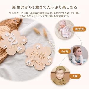 レターバナー 木製 マンスリープレート 名前 ...の詳細画像4