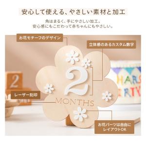 レターバナー 木製 マンスリープレート 名前 ...の詳細画像5