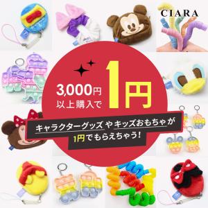 3000円以上のご購入で 1円 プレゼント おまけ ギフト ポッキリ おもちゃ ディズニー プッシュ...