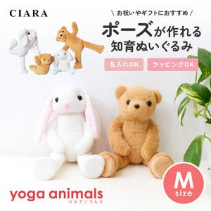 ビーニーベイビーズ/3体セット(Beanie Babies)/ぬいぐるみ : Toys雑貨