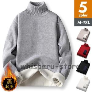 ビークファースタッペン BIEK VERSTAPPEN ノーカラーシャツ 長袖  