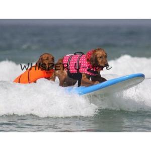 わんちゃん用 ライフジャケット 小型犬 中型犬...の詳細画像3