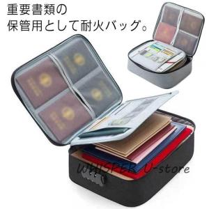 Cuisinart BDH-2 ブレードとディスクホルダー p706p5g 71tfvke0EWL.jpg_BO30,255,255,