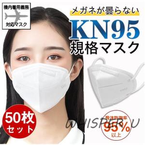 日本バイリーン 【N95】バイリーンマスク V-1003N 10枚【日本製