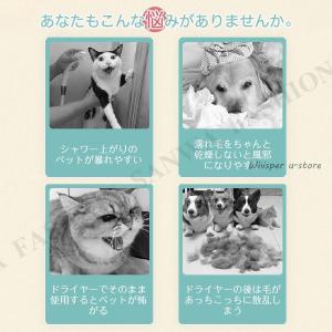 乾燥箱 犬 猫 ドライルーム ヘアドライヤー ...の詳細画像3