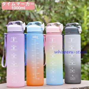 snow peak（スノーピーク） システムボトル350 2025 春夏