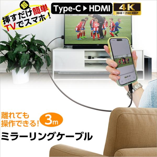 HDMI to Type-C 変換ケーブル 3m 4K 60Hz対応 ミラーリングケーブル USB-...