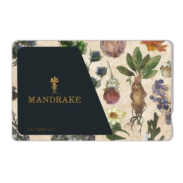 ICカードステッカー ICカード ステッカー シール 交通 電車 バス suica pasmo ic...