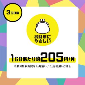 プリペイドsim プリペイド sim card...の詳細画像5
