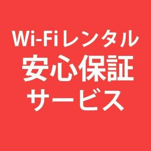 30日間プラン wifi安心保障サービス