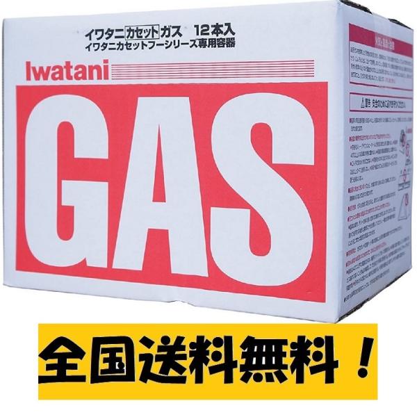 イワタニ カセットガス ガスボンベ 12本 箱入り カセットコンロ用 日本製 キャンプ アウトドア ...