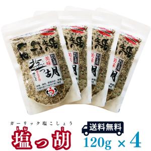 塩っ胡(しおっこ)　袋入り120g 4個セット　塩工房野次馬 ガーリック塩コショウ